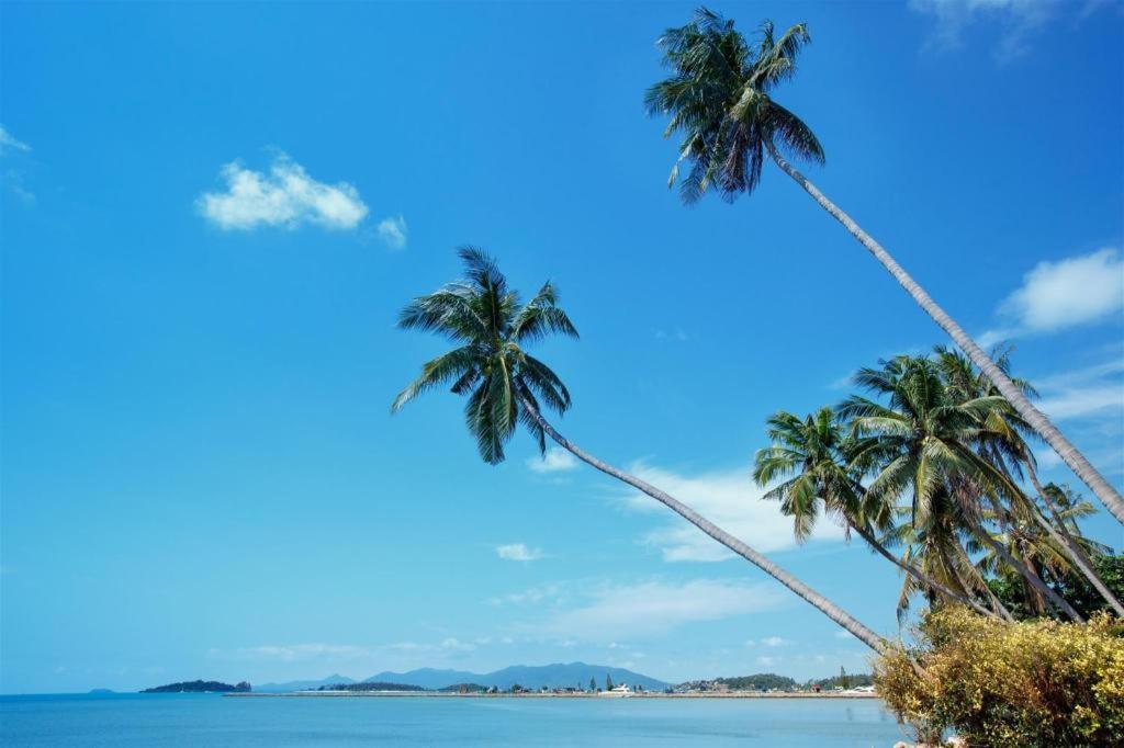 Baan Sala Lung Dam Hotel Bophut Ngoại thất bức ảnh